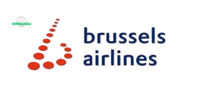 Chaos à l’aéroport de Kinshasa: L' Assaut l'A330 de Brussels Airlines 3 Chaos à l’aéroport de Kinshasa