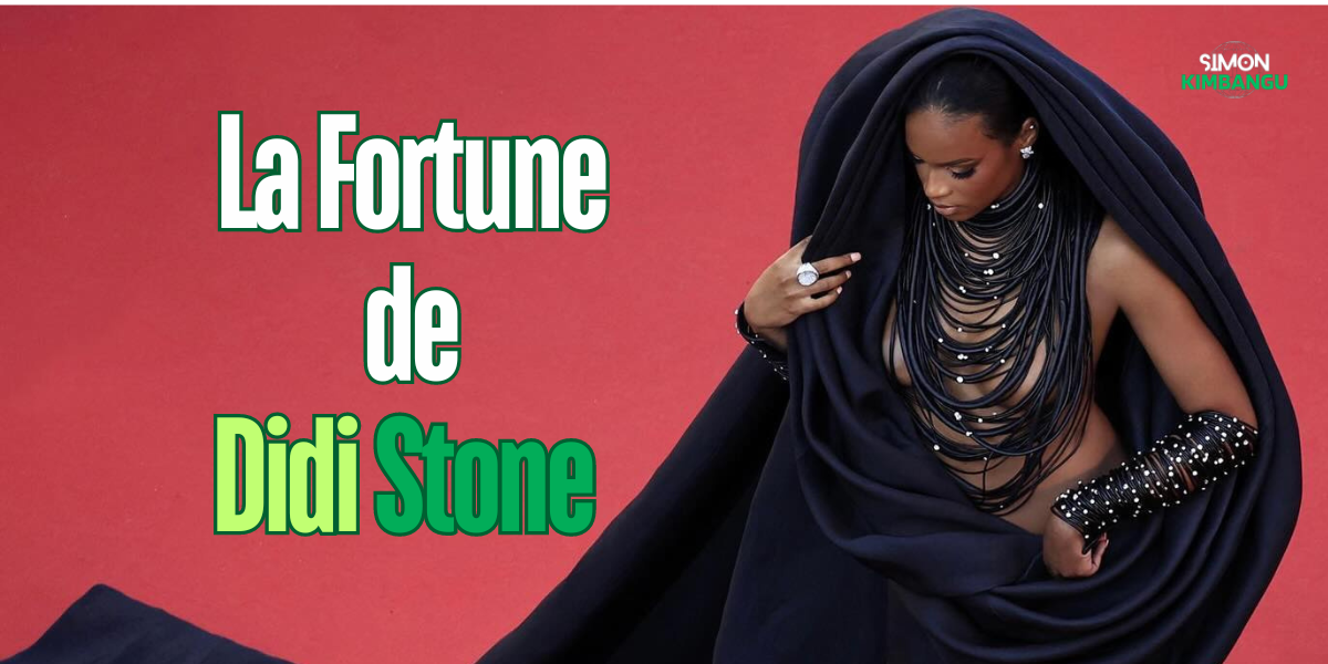 La Fortune de Didi Stone