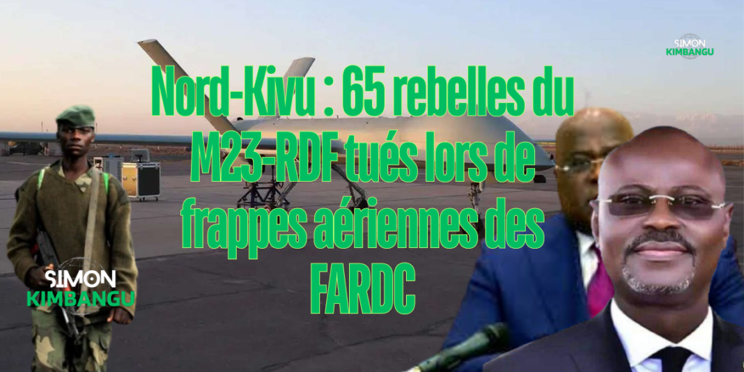 65 rebelles du M23-RDF tués