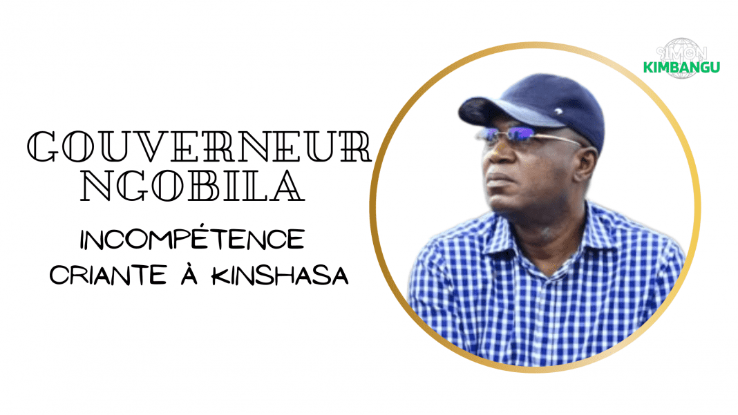 Crise à l’hôtel de Ville de Kinshasa : les griefs à l’encontre du gouverneur Ngobila